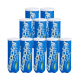 Pack de 10 tubes de balles Babolat Court